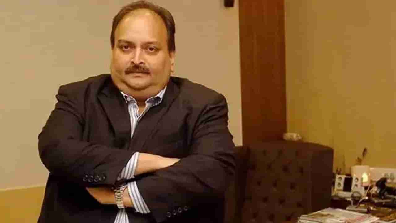 कोण आहे मेहुल चोक्सी? भारतातून का फरार झाला होता? A टू Z जाणून घ्या