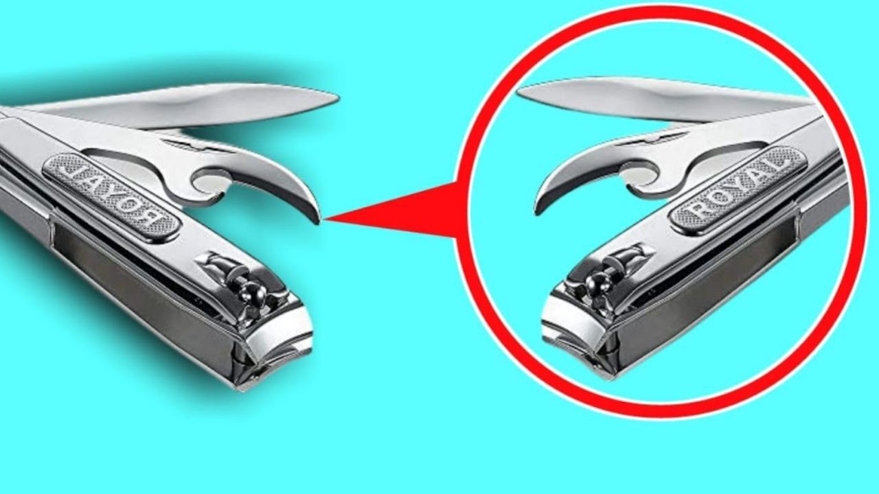 शरीराची स्वच्छता गरजेची आहे. यामुळे शरारातील सर्व अवयवांची आपण नियमित स्वच्छता करत असतो. त्यात नाक, तोंड याचाही समावेश आहे. परंतु नखे स्वच्छ ठेवणे गरजेचे असते. नखांमधून कीटक सरळ तोंडातून पोटात जावू शकतात. त्यामुळे अनेक आजारांना आमंत्रण मिळते. 