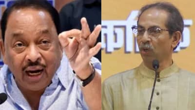 नारायण राणेंचं शिर्डीमधून शिवसेना ठाकरे गटाबाबत मोठं भाकीत, म्हणाले पुढच्या निवडणुकीपर्यंत...