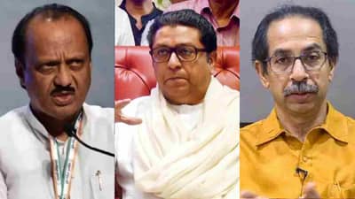 राज-उद्धव ठाकरे यांनी एकत्र यावं का?; अजितदादांनी असं दिलं उत्तर
