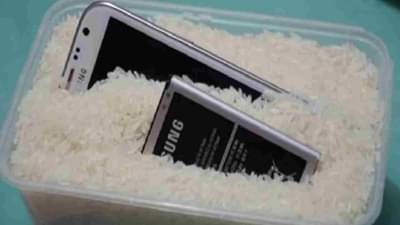 फोन पाण्यात पडला तर तांदळात ठेवण खरंच योग्य आहे का? एकदा नक्की वाचा!