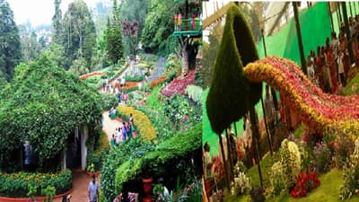 तुम्ही जर मे महिन्यात ऊटीला भेट देण्याचा विचार करत असाल, तर तेथील या प्रसिद्ध महोत्सवाला द्या भेट