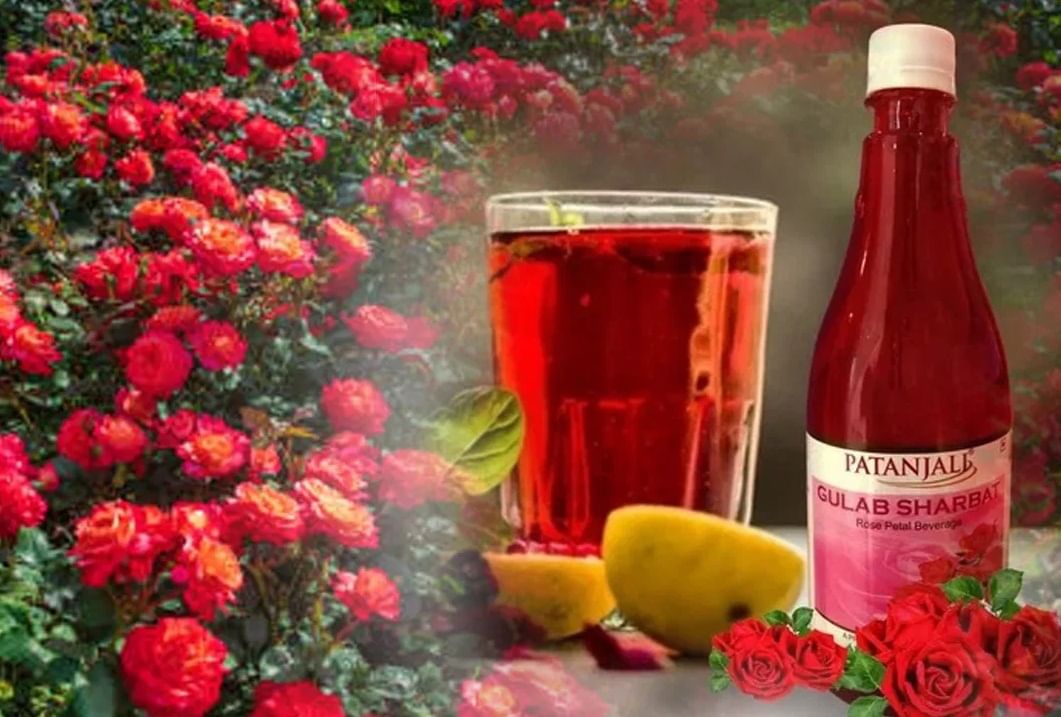 शेतकऱ्यांच्या शेतातून तुमच्या घरापर्यंत,पतंजली गुलाब सरबताने असा बदलला ब्रिव्हरेज इंडस्ट्रीचा चेहरा