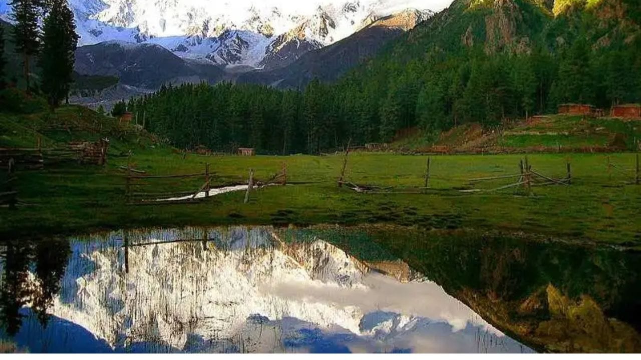 जगातील मोठा मुस्लीम देश PoK ला समजतो भारताचा भाग, G 20 बैठकीत व्हिडिओ केला होता शेअर