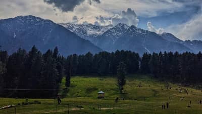 पहलगाम हल्ल्यात महाराष्ट्रातील 3 जणांचा मृत्यू, मृत आणि जखमी व्यक्तींच्या नावांची यादी समोर