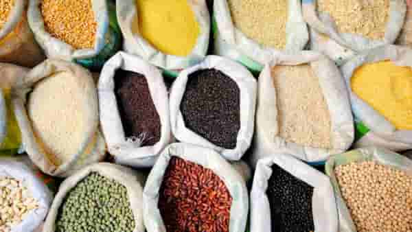 उन्हाळ्यात कोणत्या डाळी खाणे फायदेशीर? तज्ज्ञांकडून जाणून घ्या