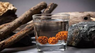 Rudraksh Water Benefits : मानसिक ताण दूर करण्यासाठी रूद्राक्षाचे पाणी खरचं फायदेशीर ठरते का? नक्की जाणून घ्या...