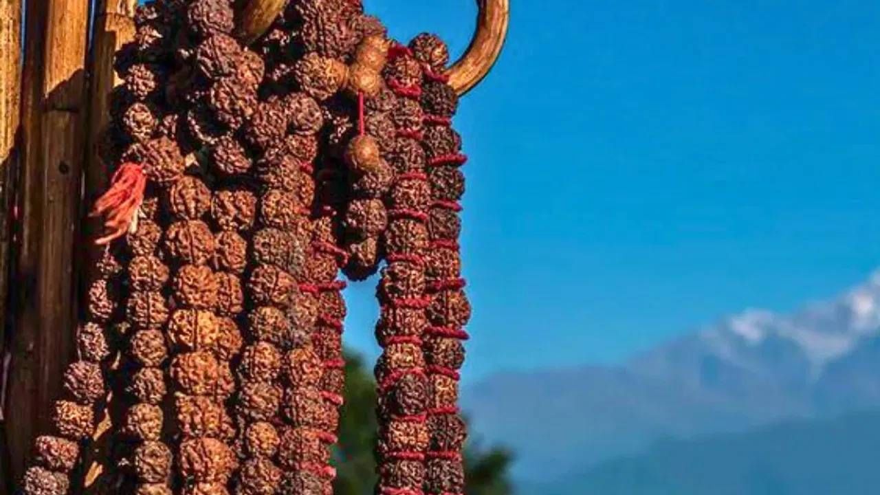 कायदेशीर व्यवसाय: ज्योतिषशास्त्रानुसार, तुमच्या कायदेशीर व्यवसायात प्रगती करण्यासाठी आणि इच्छित यश मिळविण्यासाठी तुम्ही एकमुखी रुद्राक्ष धारण केला पाहिजे. पाच मुखी आणि तेरा मुखी असलेले रुद्राक्ष खूप फायदेशीर असतात.