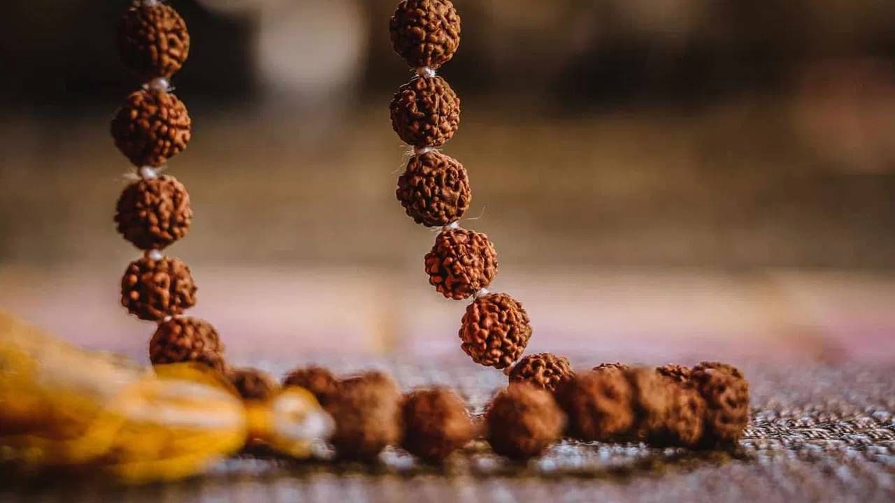 वैद्यकीय व्यवसाय: वैद्यकीय व्यवसायात यश मिळविण्यासाठी तीनमुखी, चारमुखी, नऊमुखी, दहामुखी आणि अकरामुखी रुद्राक्ष धारण करावेत. ज्योतिषशास्त्रानुसार, हे सर्व रुद्राक्ष डॉक्टर आणि वैद्यकीय क्षेत्राशी संबंधित लोकांसाठी खूप शुभ मानले जातात.