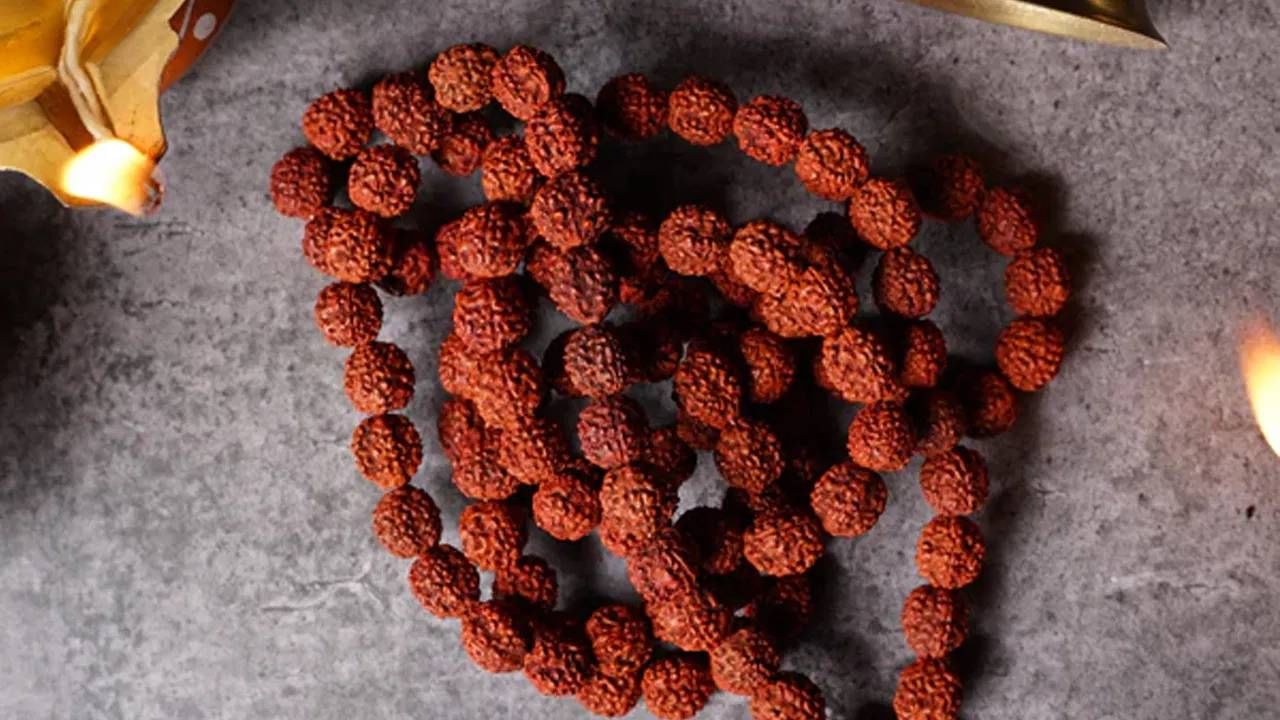 हिंदू धर्मात रुद्राक्ष हे सर्वात प्रभावी मानलं गेलं आहे. रुद्राक्षाच्या वेगवेगळ्या पद्धतीने उपयोग करून अडचणी सोडवल्या जातात. व्यवसायात तुम्हाला सर्व प्रयत्न करूनही अपेक्षित प्रगती मिळत नसेल,तुम्ही दहामुखी, तेरामुखी, एकमुखी आणि चौदामुखी रुद्राक्ष धारण करावेत. यामुळे तुम्हाला योग्य मार्ग सापडेल आणि अडचणी दूर होतील.