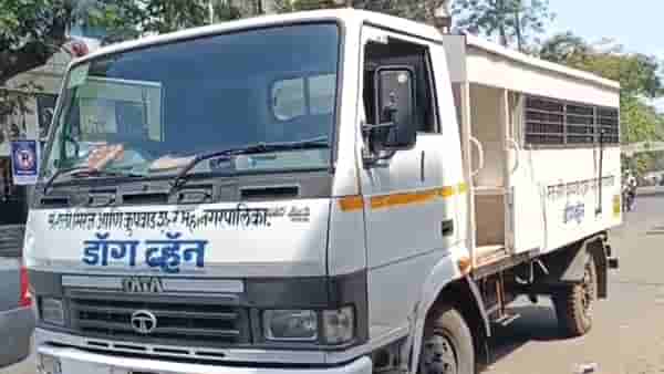 संभाजी भिडेंना कुत्रा चावल्यानंतर महानगरपालिका खडबडून जागी, राबवली भटके कुत्र्यांना पकडण्याची मोहीम