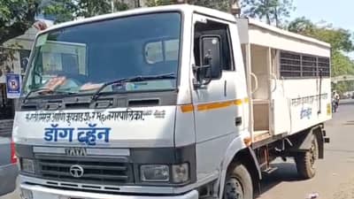 संभाजी भिडेंना कुत्रा चावल्यानंतर महानगरपालिका खडबडून जागी, राबवली भटके कुत्र्यांना पकडण्याची मोहीम