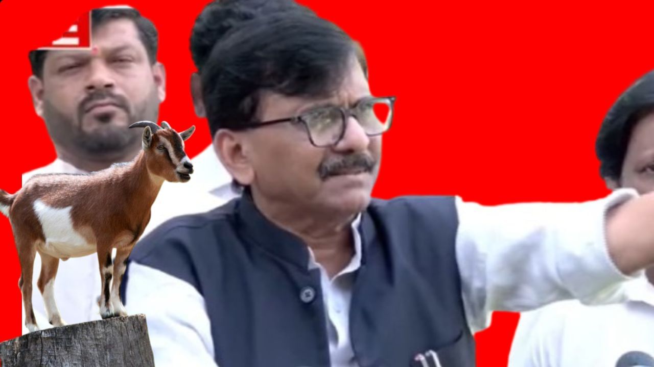 Sanjay Raut : संजय राऊत यांचे ट्विट...बकऱ्याचा फोटो...कोड वर्ल्डमध्ये कॅप्शन अन् दिल्लीतील संदेश...काय आहे अर्थ