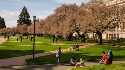 शिक्षणाचा सर्व खर्च 6 महिन्यांत परत मिळवा! अमेरिकेतील टॉप 5 विद्यापीठे जाणून घ्या