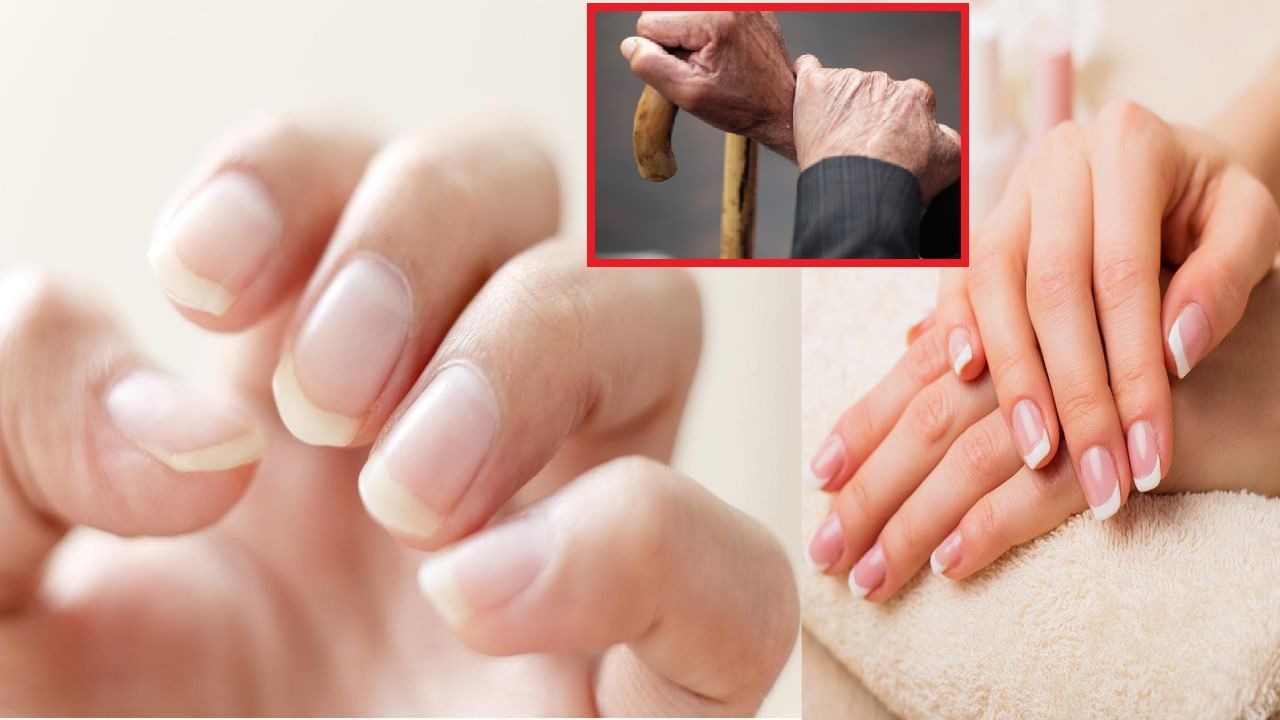 तुमची नखे ठरवतात तुमचे वय अन् आरोग्य; नखे लवकर वाढत असतील तर तुम्ही किती वर्षे जगाल?