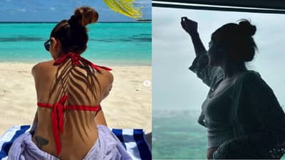 प्रेमासाठी करिअर सोडलं, लग्नानंतर धोका, घटस्फोटानंतर जबरदस्त कमबॅक; आज इंडस्ट्रीत टॉपची अभिनेत्री