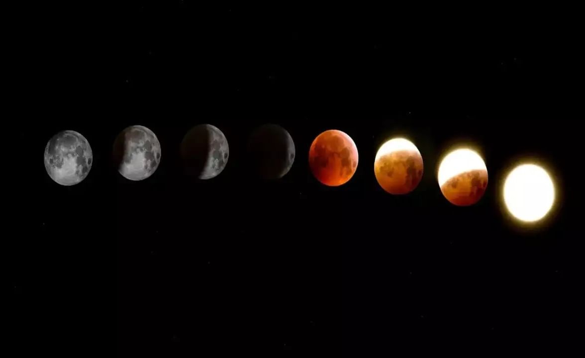 vaishakh amavasya 2025: वैशाख अमावस्येच्या दिवशी 'या' नियमांचे पालन केल्यास पितृदोष होईल दूर....