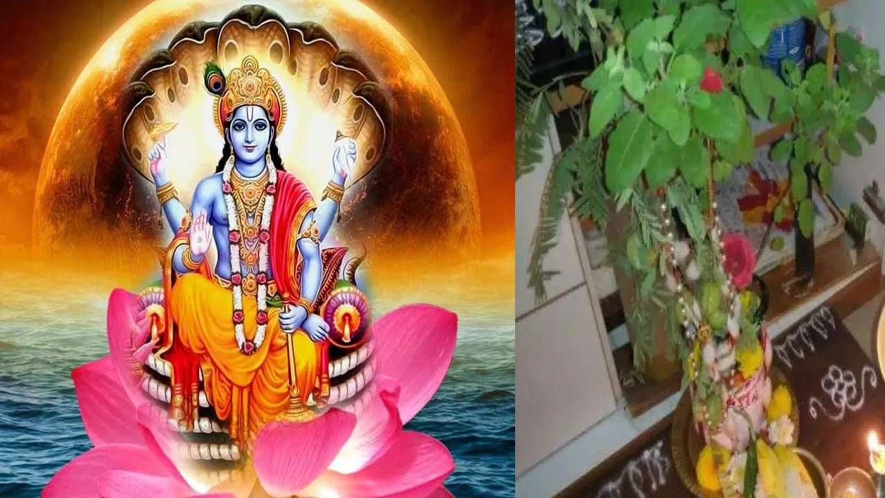 Varuthini Ekadashi 2025: वरुथिनी एकादशीच्या दिवशी 'या' चुका टाळा अन्या आयुष्यभर पस्तवाल....