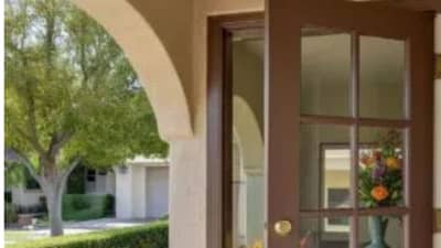 Vastu Tips : हे झाड आहे खूपच शुभ, घरात लावताच नष्ट होतात सर्व वास्तुदोष