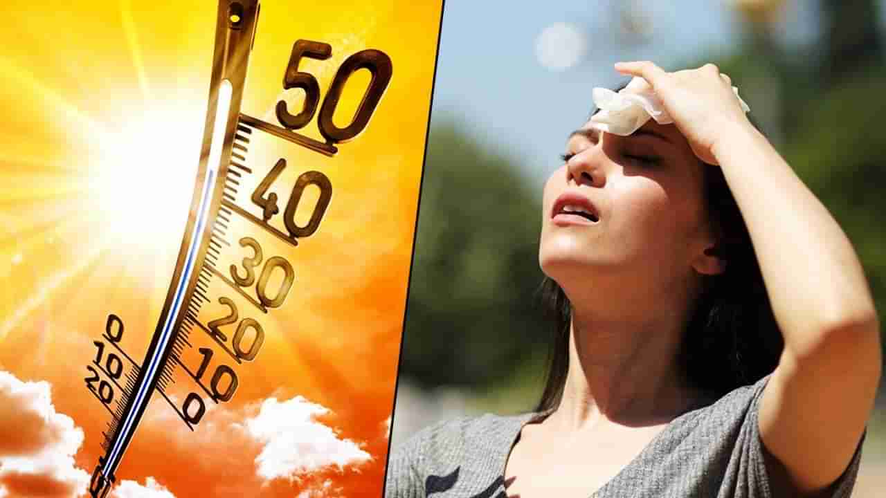 सूर्यदेव कोपला, मुंबईत घामाच्या धारा, अनेक जिल्ह्यात पार वाढला, काम असेल तरच बाहेर पडा