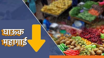 Wholesale Inflation : महागाईच्या मोर्चावर सर्वसामान्यांना मोठा दिलासा; घाऊक महागाईत मोठी घसरण