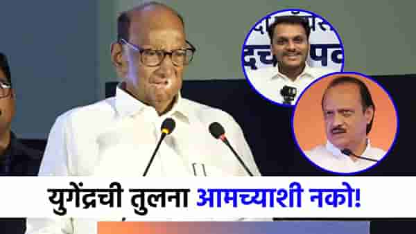 युगेंद्रची आमच्याशी तुलना नको,अजितदादांचं नाव घेत शरद पवार असं का म्हणाले?