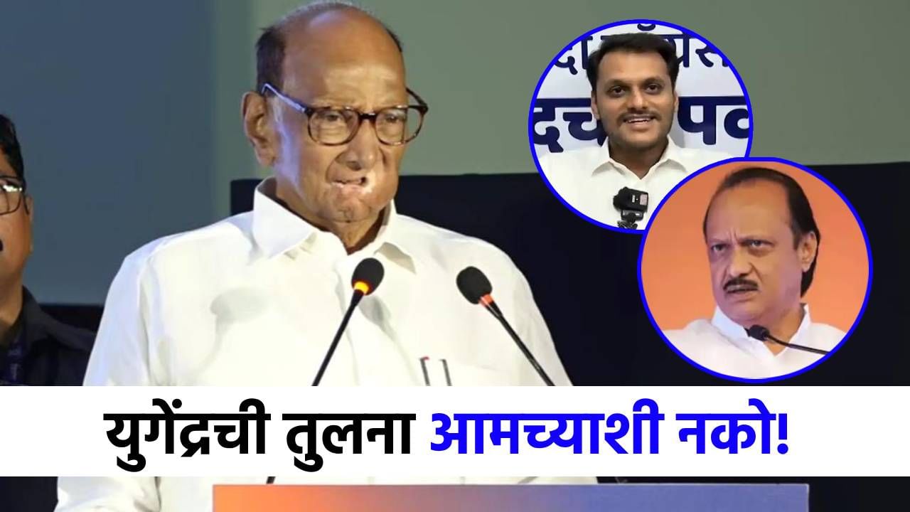 'युगेंद्रची आमच्याशी तुलना नको',अजितदादांचं नाव घेत शरद पवार असं का म्हणाले? 'युगेंद्रची आमच्याशी तुलना नको',अजितदादांचं नाव घेत शरद पवार असं का म्हणाले?