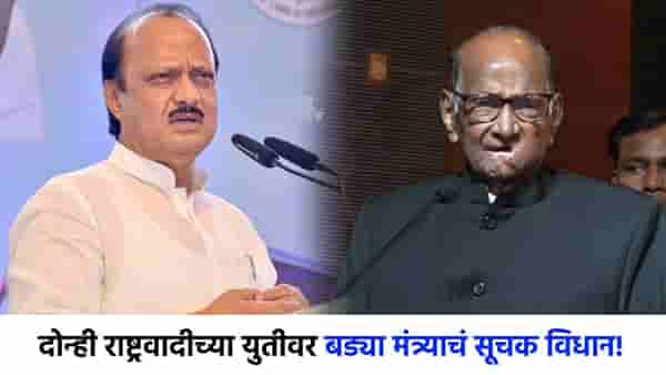 होय, त्यांच्यात नवं...शरद पवार-अजितदादांच्या दिलजमाईवर बड्या मंत्र्याचं सूचक विधान; म्हणाले पवार कुटुंब...