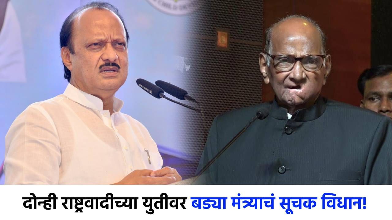 होय, त्यांच्यात नवं...शरद पवार-अजितदादांच्या दिलजमाईवर बड्या मंत्र्याचं सूचक विधान; म्हणाले पवार कुटुंब...