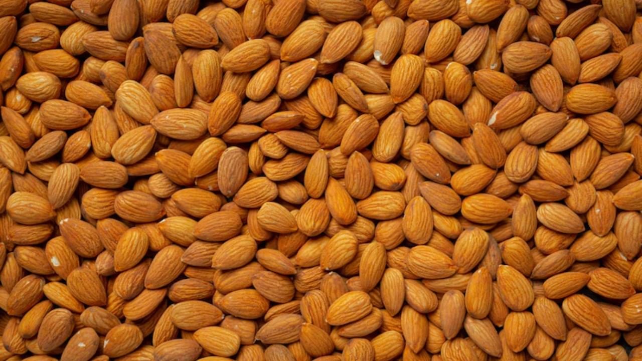 रात्री झोपण्यापूर्वी बदाम खाल्ल्यामुळे नेमकं काय होतं? रात्री झोपण्यापूर्वी बदाम खाल्ल्यामुळे नेमकं काय होतं?