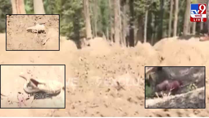 Pahalgam Attack : चिखलात फसलेल्या चपला अन् जीव वाचवण्यासाठी सैरावैरा पळाल्याच्या खुणा; बैसरन खोऱ्यातून टीव्ही9 चा ग्राऊंड रिपोर्ट Pahalgam Attack : चिखलात फसलेल्या चपला अन् जीव वाचवण्यासाठी सैरावैरा पळाल्याच्या खुणा; बैसरन खोऱ्यातून टीव्ही9 चा ग्राऊंड रिपोर्ट