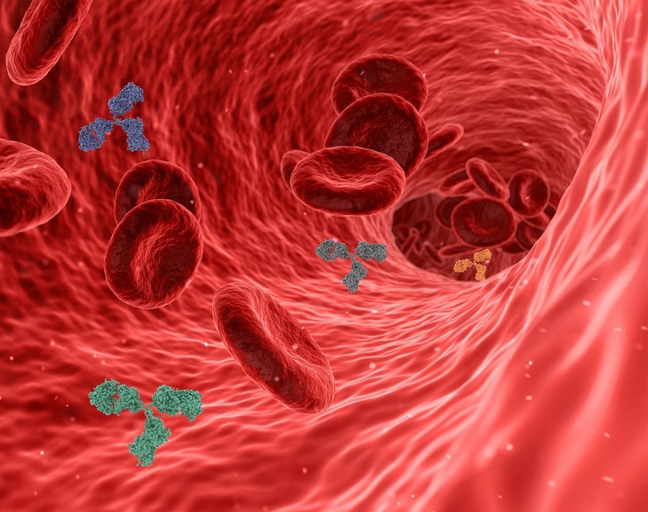blood (4)