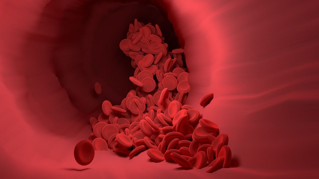 blood (5)