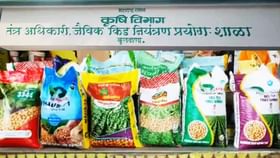 आता बोगस बियाणे विक्रेत्यांना बसणार चाप; भरारी पथकाचा जिल्हाभर धाक