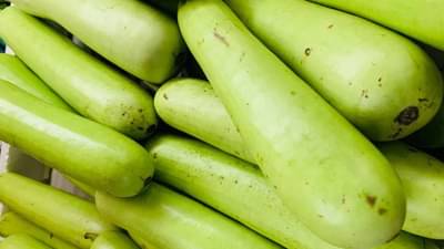 उन्हाळ्यात दुधी भोपळा खाण्याची ही आहेत आरोग्यदायी फायदे, जाणून घ्या