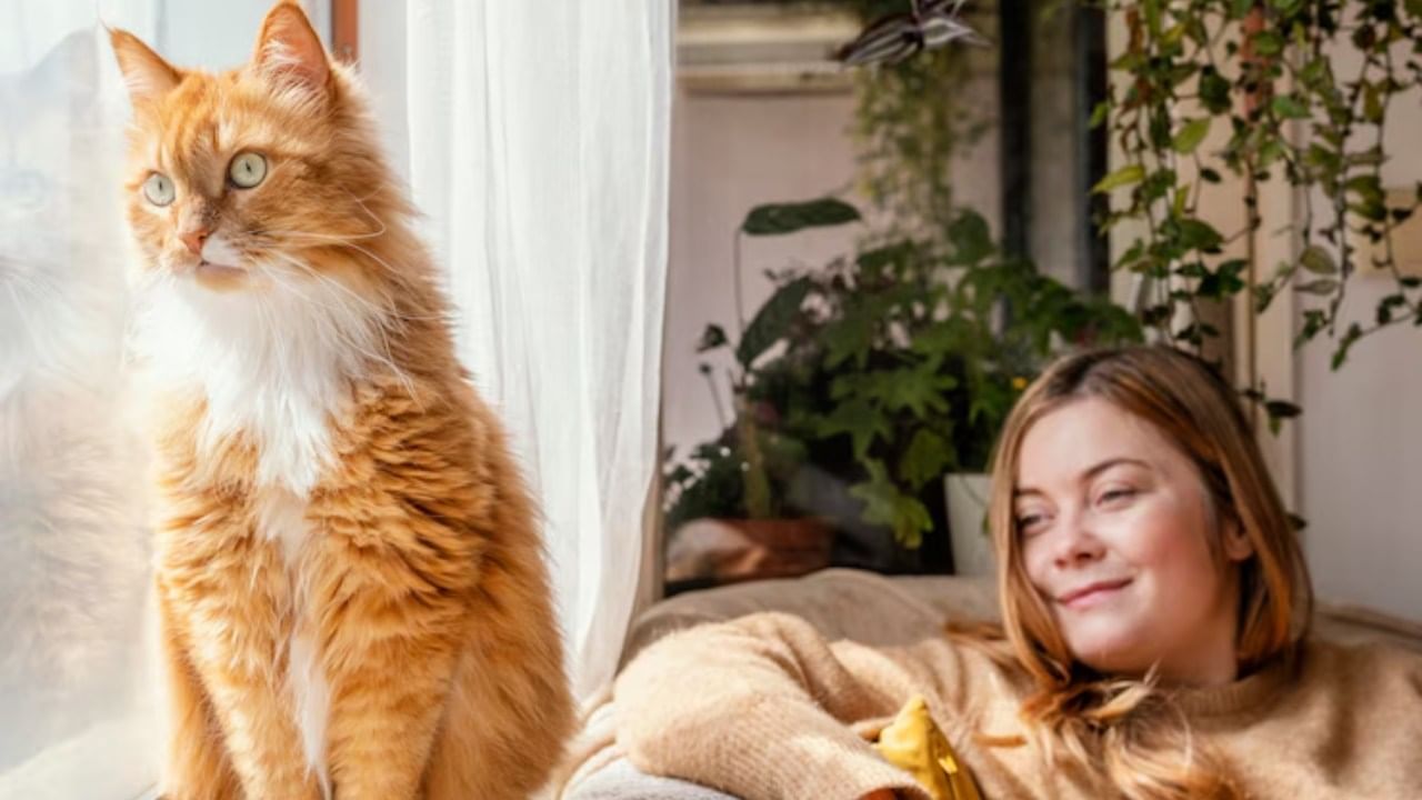 जर तुमच्याकडे पांढऱ्या किंवा फिकट रंगाच्या मांजर असेल तर ते शुभ मानले जाते. त्यांच्या उपस्थितीमुळे घरात सकारात्मक ऊर्जा निर्माण होते. तसेच घरातील सदस्यांच्या शारीरिक आणि मानसिक आरोग्यात सुधारणा होते.