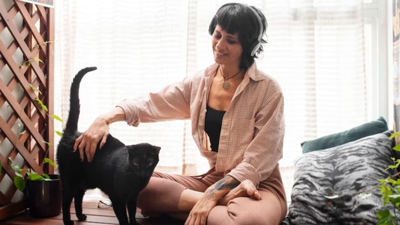 पण जर तुमच्या घरात काळ्या रंगाची मांजर असणे अशुभ मानले जाते. काळ्या रंगाची मांजर रडू लागली, तर ते अशुभ संकेत असतात. हे एखाद्या दुर्घटनेचे सूचक असू शकतात.