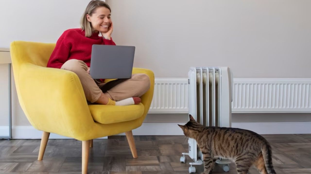 धार्मिक कारणानुसार मांजर पाळणे शुभ मानले जाते. कारण यामुळे नकारात्मक ऊर्जेपासून आपले संरक्षण होते.