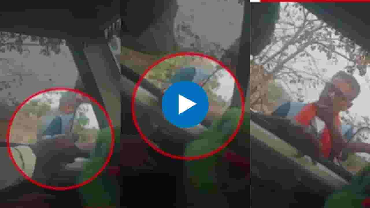 Chandrapur News : 'बैलजोडी जप्त करू..', धमकी देऊन गरीब शेतकऱ्याकडून केली वसूली