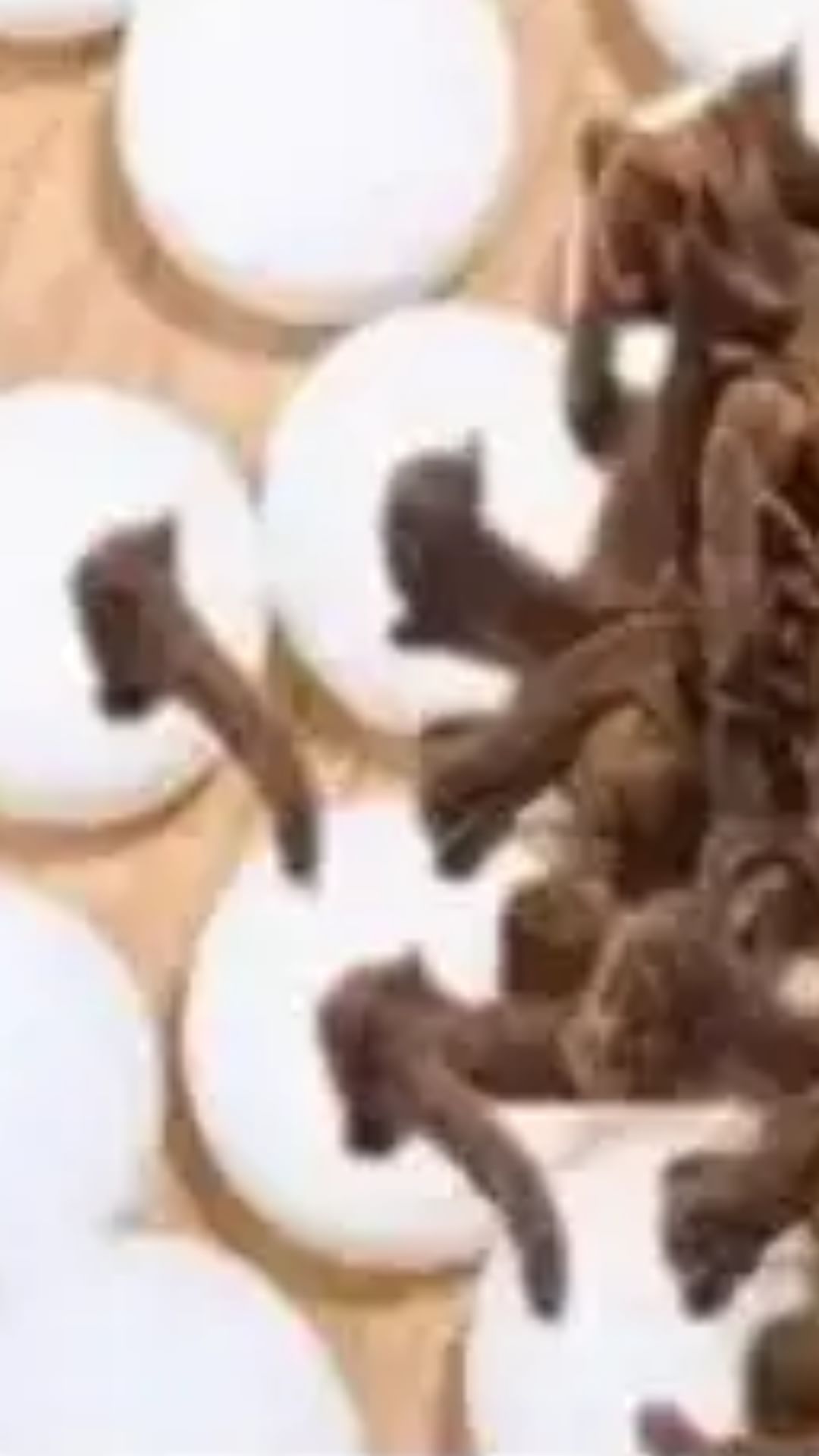 cloves-and-camphor-pics