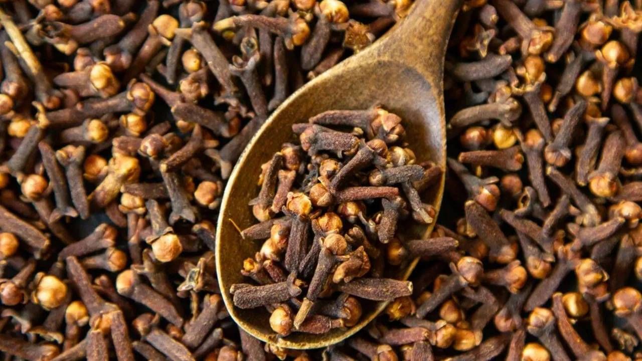 रिकाम्या पोटी लवंगाचे सेवन ठरेल फायदेशीर? जाणून घ्या त्याचे फायदे