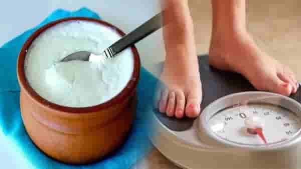 weightloss tips: दहीमध्ये हे 2 पदार्थ मिसळून खाल्ल्यामुळे वजन होईल झटपट कमी...