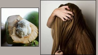 नारळाच्या मलईचा हेअर मास्क डॅमेज केसांसाठी ठरेल फायदेशीर, केसांच्या समस्या होतील दुर