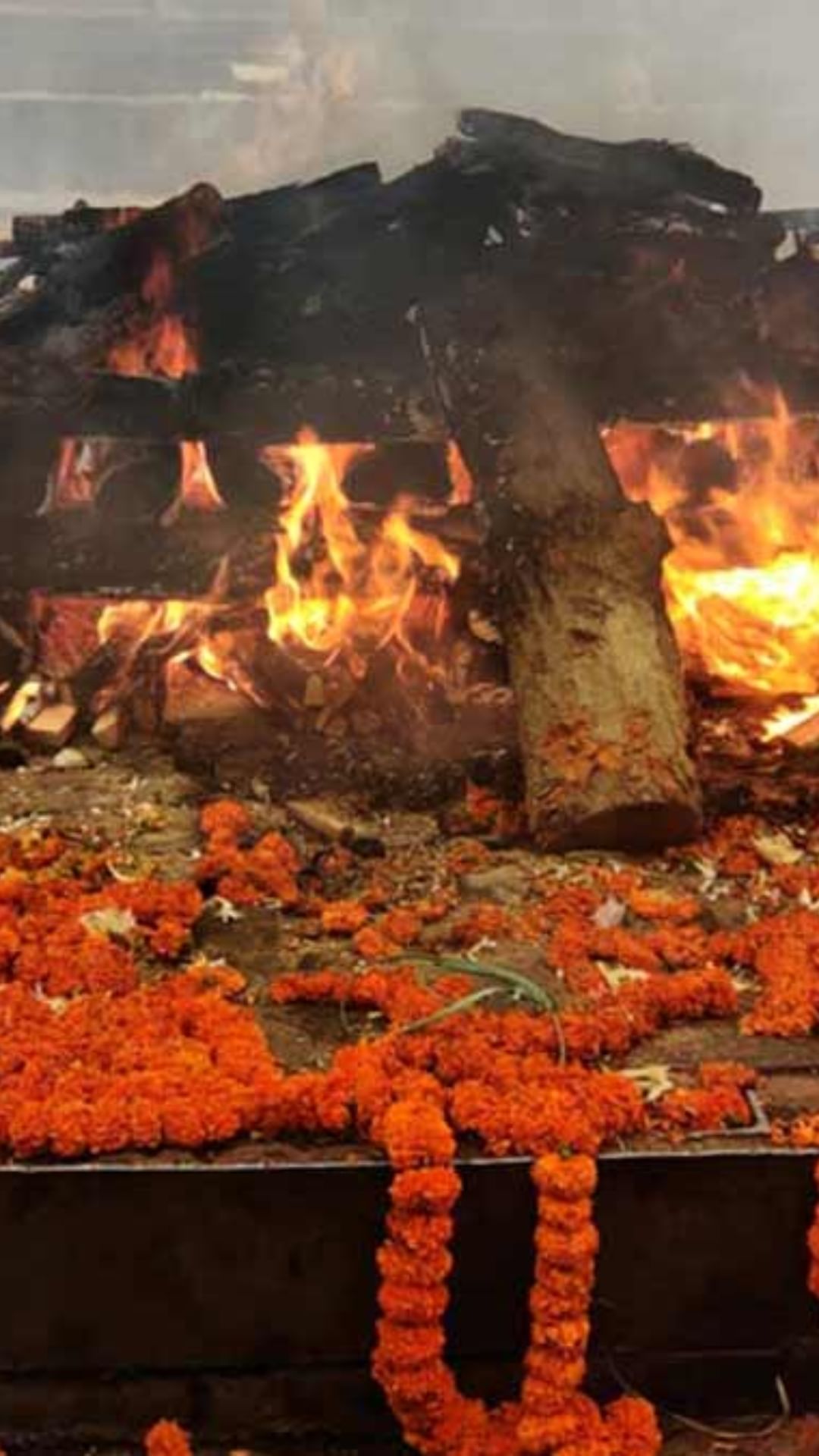 जावई सासू-सासऱ्यांचे अंत्यसंस्कार करू शकतो का ?
