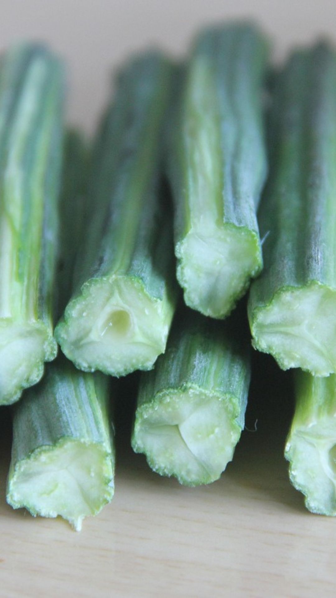 drum-stick-moringa