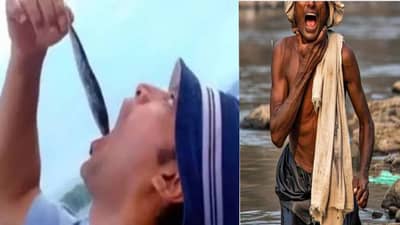 दिल चाहता है चा आमिर बनायला गेला ! तोंडात टाकला जिवंत मासा, पण..