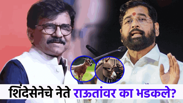 राऊतांच्या बकऱ्याला शिंदेसेनेकडून गाढवाने उत्तर, तुंबळ युद्धाचं कारण काय?