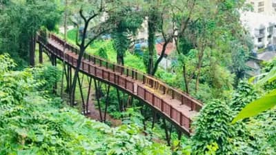 मुंबईतील पहिला फॉरेस्ट वॉकवे पर्यटकांसाठी सुरू, जाणून घ्या काय आहेत वैशिष्ट्ये?