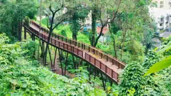 मुंबईतील पहिला फॉरेस्ट वॉकवे पर्यटकांसाठी सुरू, जाणून घ्या काय आहेत वैशिष्ट्ये?