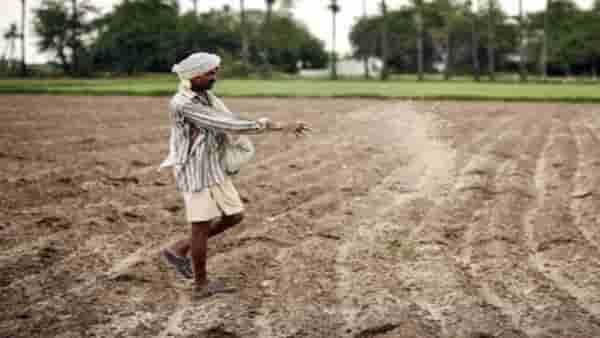 पेरणी कधी करावी? कोणत्या तारखेला कुठे पाऊस? डॉ. पंजाबराव डख यांनी दिली A टू Z माहिती